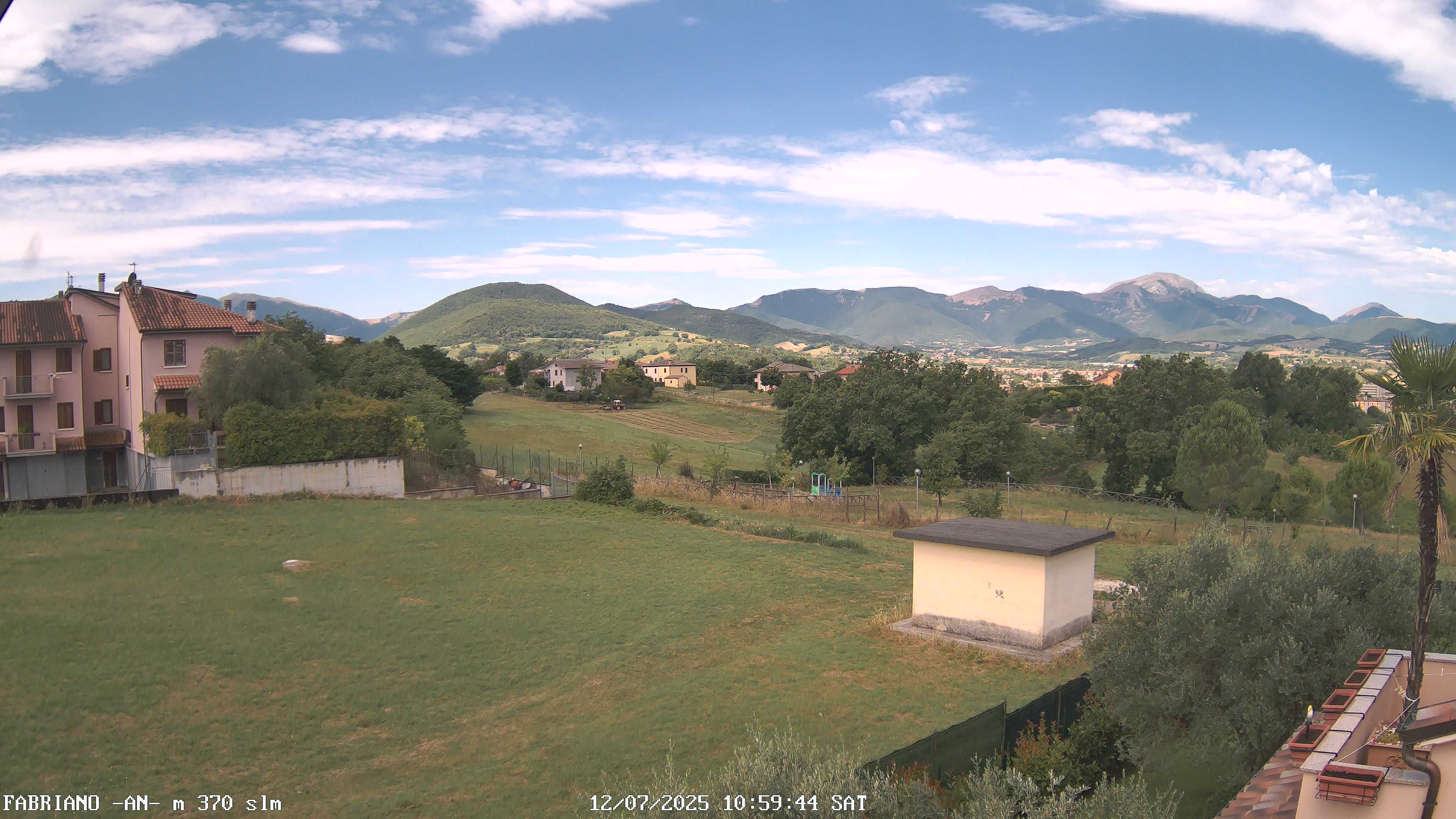 Camera Live Image